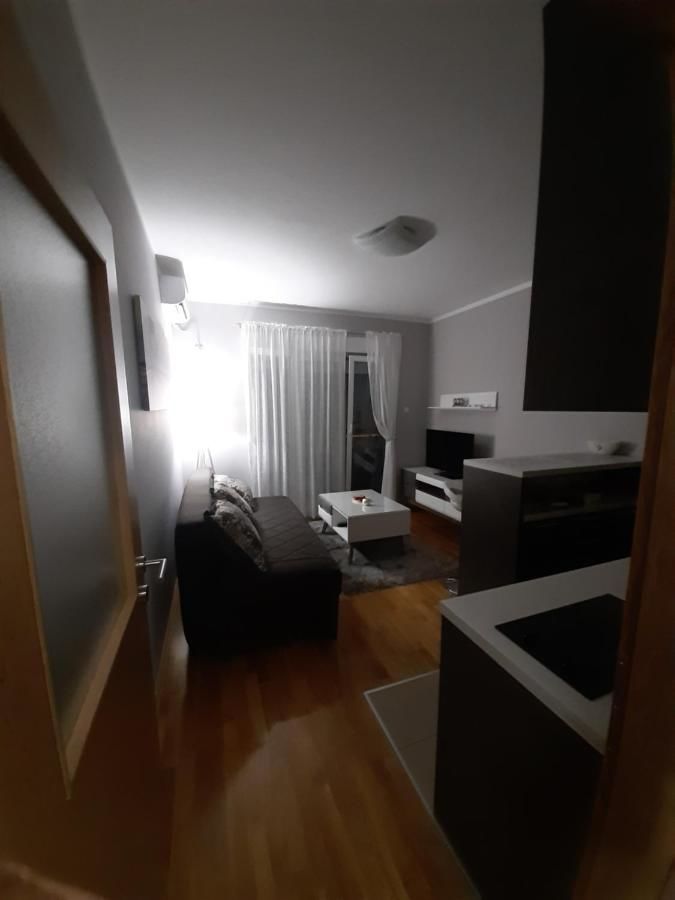 Апартаменты Apartman Ljubovic Подгорица-16