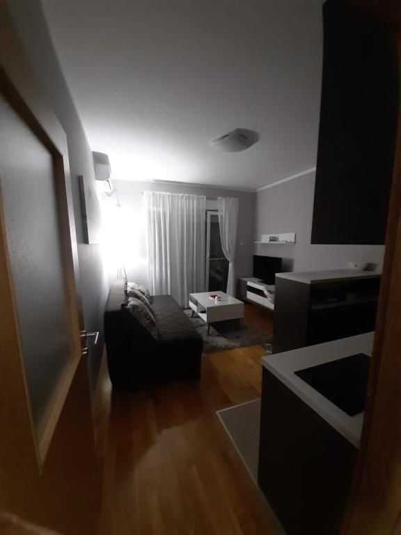 Апартаменты Apartman Ljubovic Подгорица-20