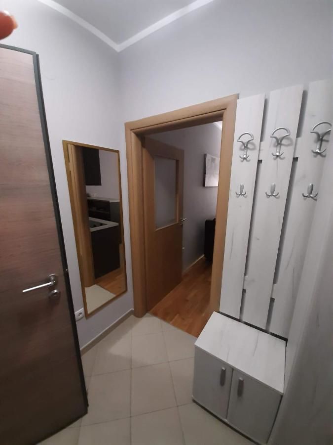 Апартаменты Apartman Ljubovic Подгорица-9