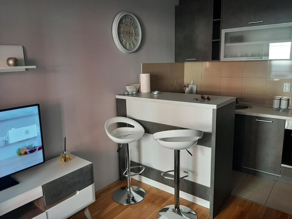 Апартаменты Apartman Ljubovic Подгорица-12