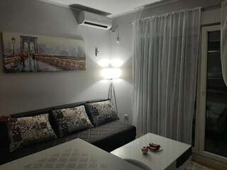 Апартаменты Apartman Ljubovic Подгорица Апартаменты с 1 спальней-1