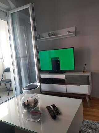 Апартаменты Apartman Ljubovic Подгорица Апартаменты с 1 спальней-10