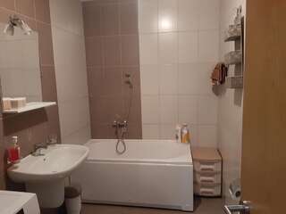 Апартаменты Apartman Ljubovic Подгорица Апартаменты с 1 спальней-11