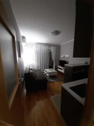 Апартаменты Apartman Ljubovic Подгорица Апартаменты с 1 спальней-13