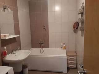 Апартаменты Apartman Ljubovic Подгорица Апартаменты с 1 спальней-23